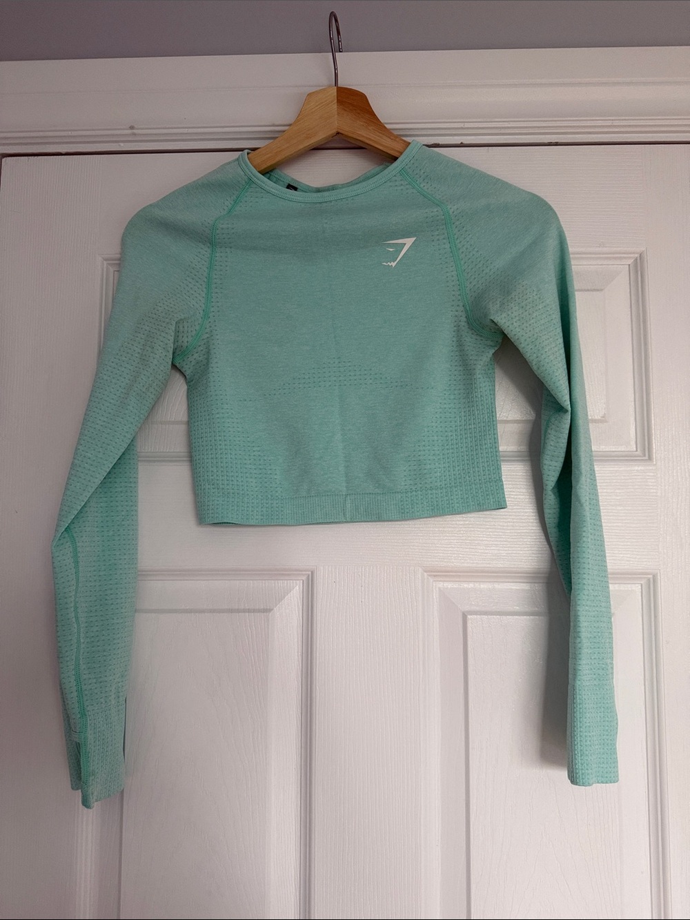 Gymshark Mint Green Seamless Long-Sleeve Crop Top